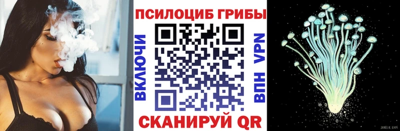 Галлюциногенные грибы Cubensis  Купить  Кубинка 